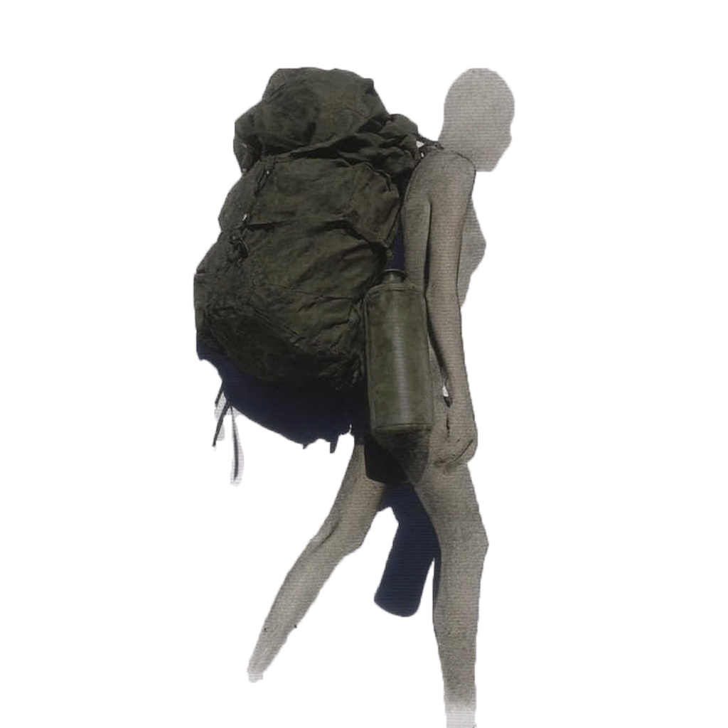 TRAVEL model 2